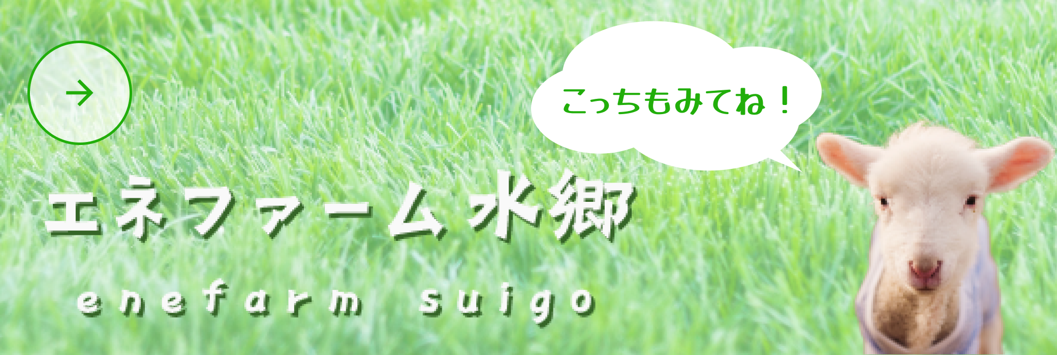 エネファーム水郷サイトへ